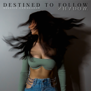 Artwork for track: Destined to Follow (Shadow) by Melanie Cowmeadow