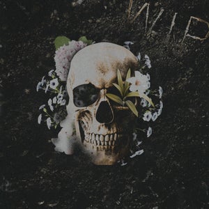 Artwork for track: W.I.P by Kyle F-C