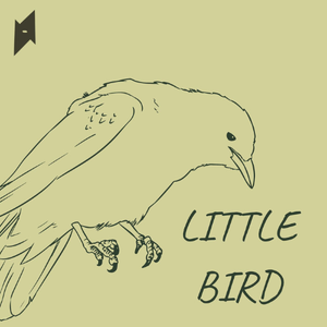 Artwork for track: Little Bird by Young Studios