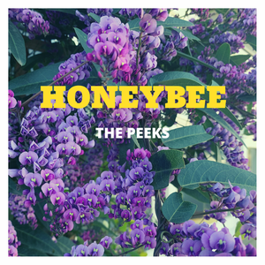 Artwork for track: Honeybee (ft. Anabelle Kay) by The Peeks