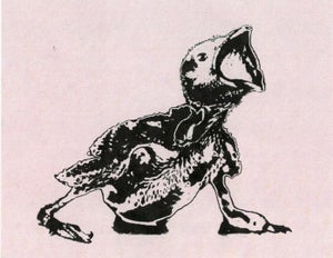 Artwork for track: Birds by Sex Mask