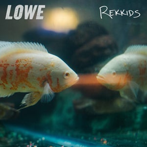 Artwork for track: Rekkids by Lowe