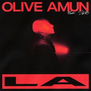 Artwork for track: LA (ft. SK8) by Olive Amun