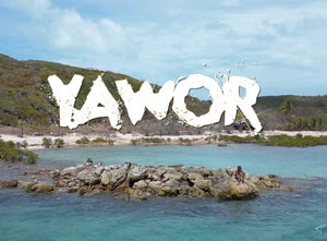 Artwork for track: YAWOR by R3B