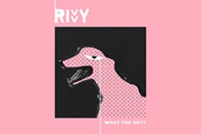 Artwork for track: What the Heyt? by Rivvy