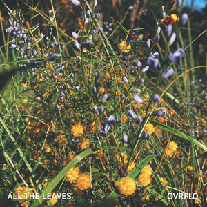 Artwork for track: All The Leaves by OVRFLO