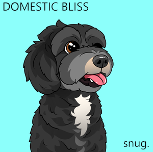 Artwork for track: Domestic Bliss by snug.