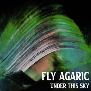 Artwork for track: Under This Sky (FLY AGARIC) by FLY AGARIC