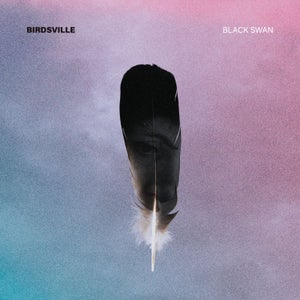 Artwork for track: Black Swan by Birdsville