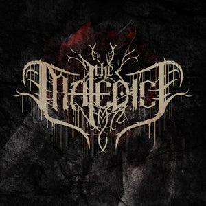 Artwork for track: Frozen by The Maledict
