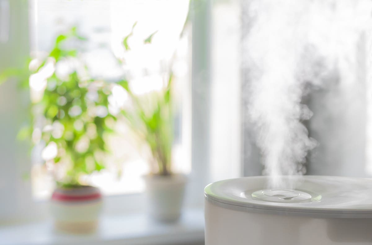 Air purifier on with plants in the windowsill