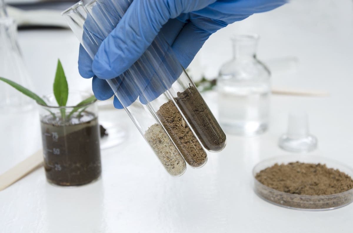 Scientist holding three test tubes with different soils in each