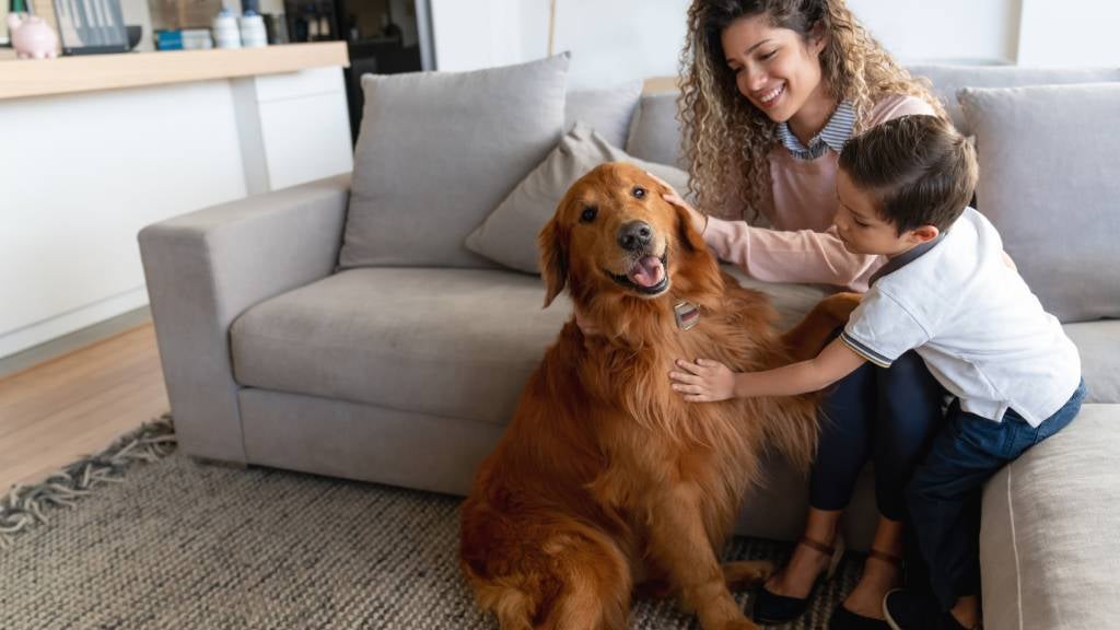 Woman and child play with brown dog at home.