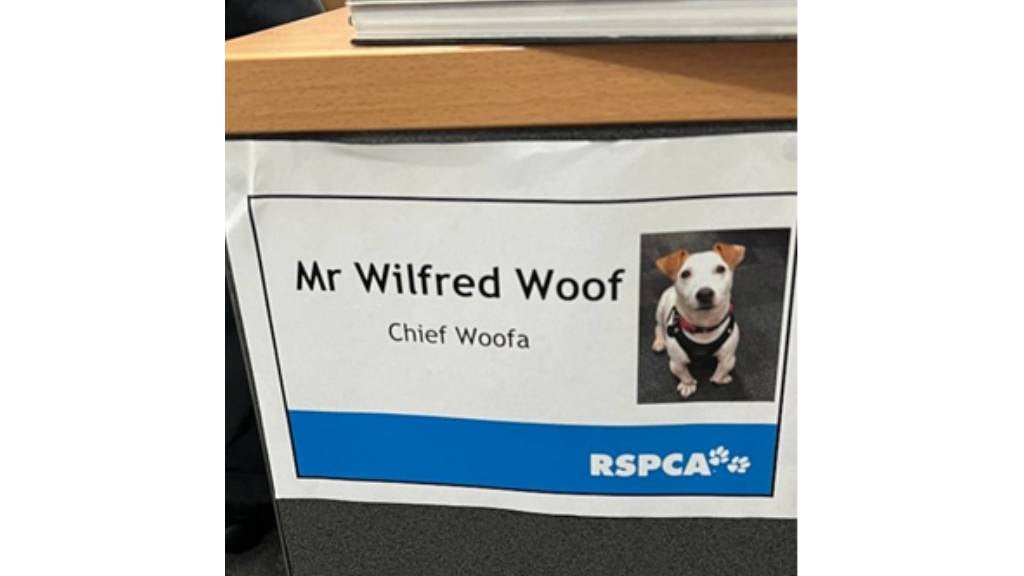 Mr Wilfred Woof is the Chief Woofa at an RSPCA event
