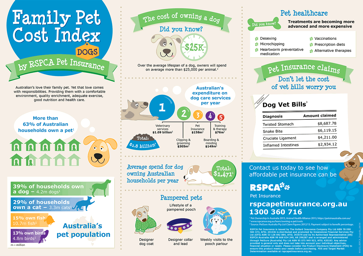 Infographic of dog costs