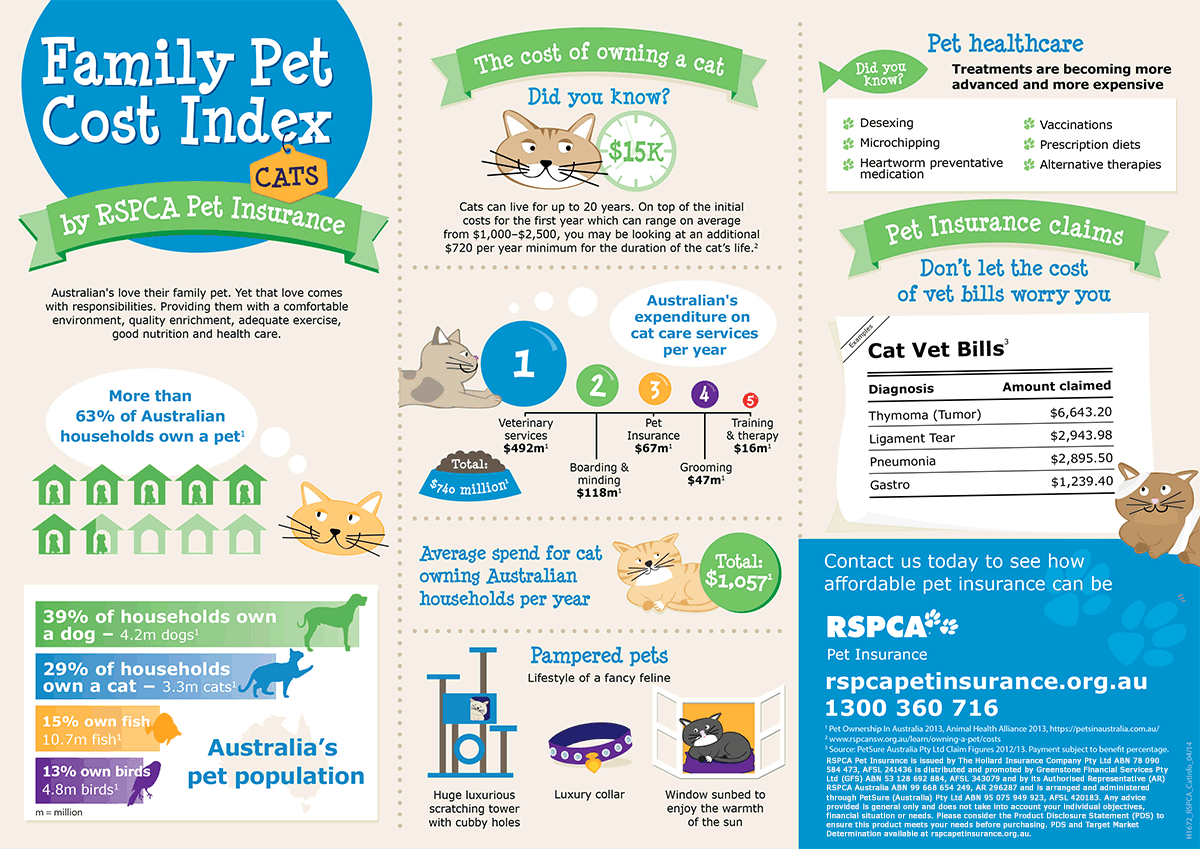 Infographic of cat costs