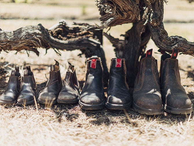 Boots lined up at vine trunk