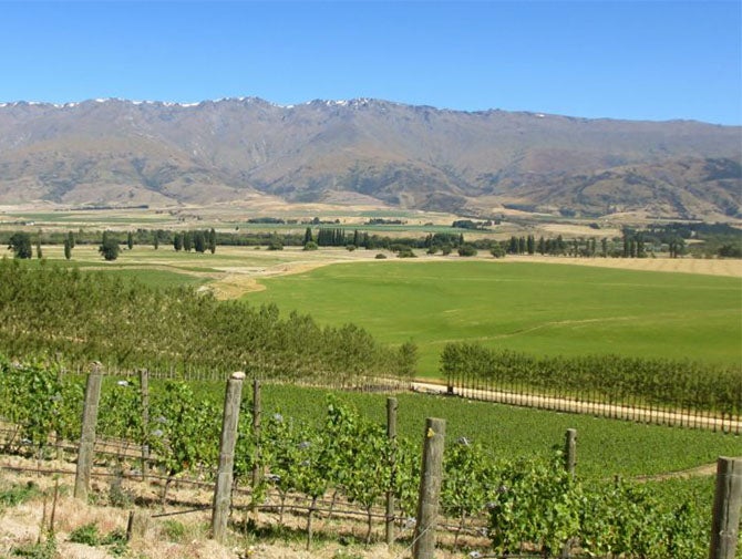 本迪戈葡萄酒区土壤