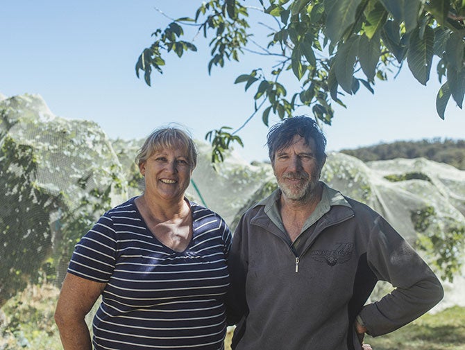 Jan and Barry Morey in their vineyard