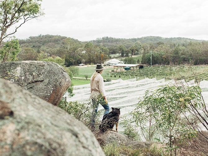 Michelle Coelli looking over vineyard with dog