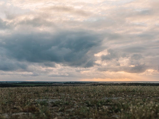 Cape Jaffa Mount Benson
