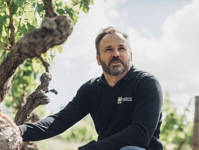 Ian Hongell with grapevine