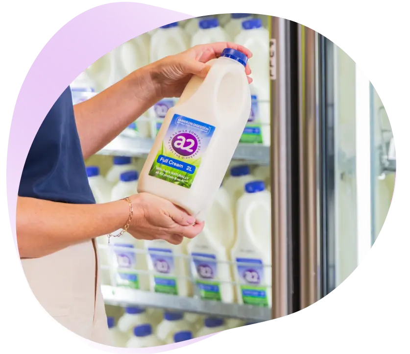 <h1>Presentations</h1>