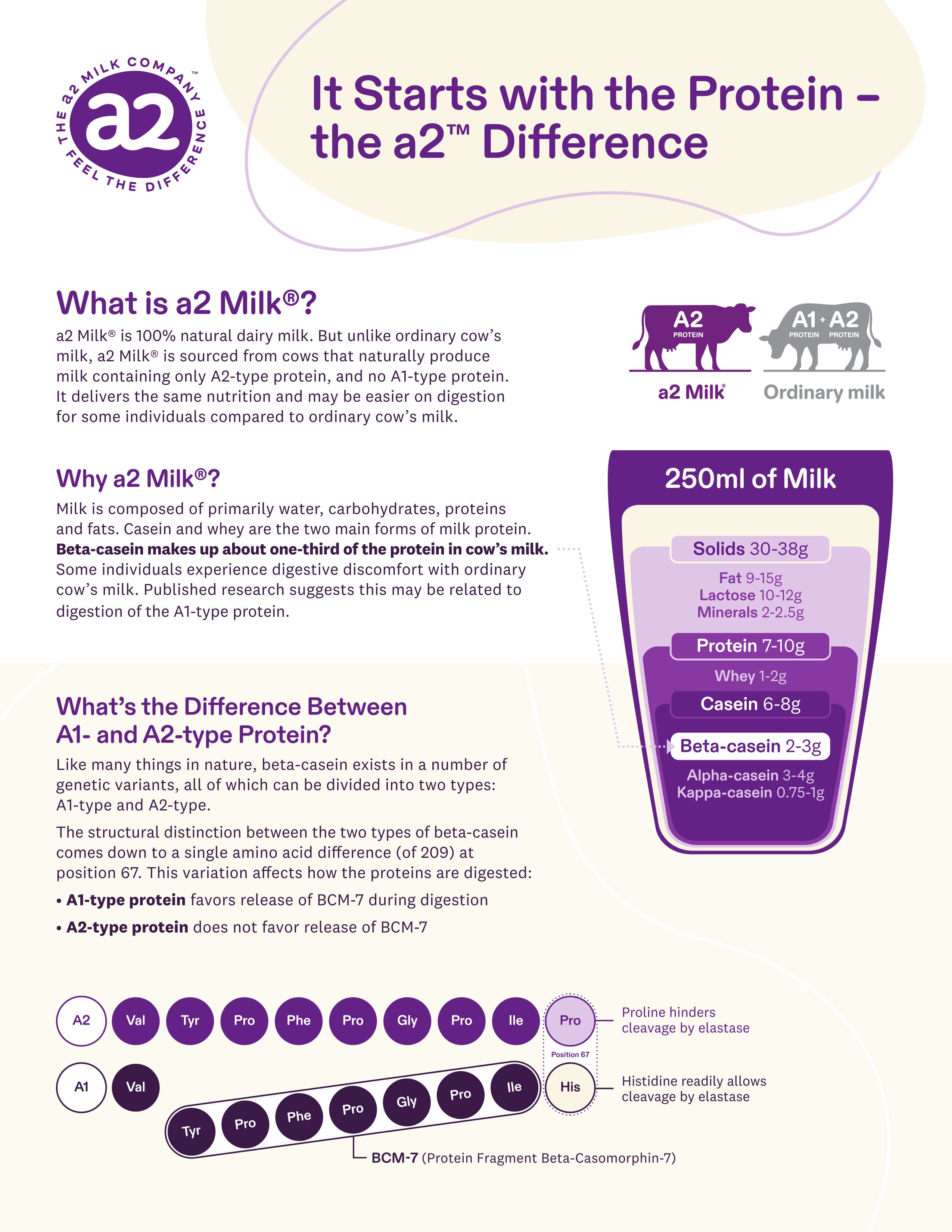 It Starts with the Protein: The a2™ Difference
