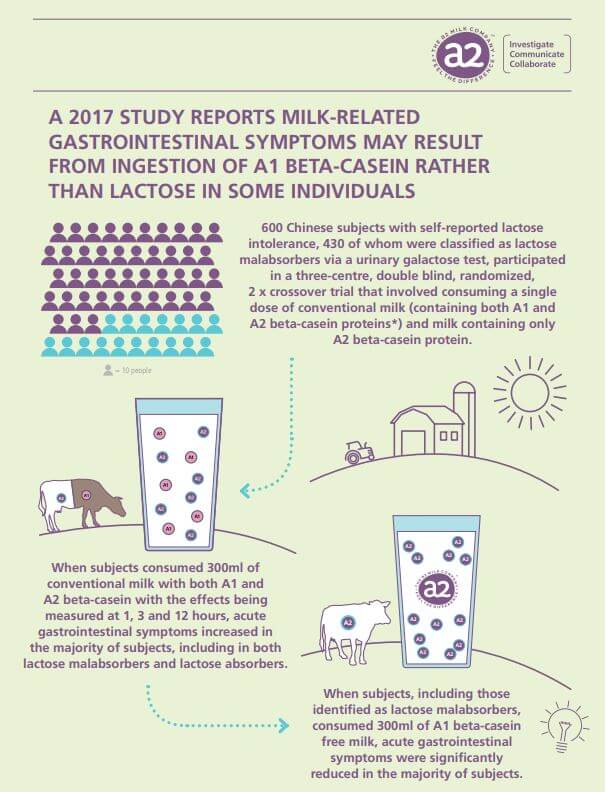 A 2017 study reports milk-related gastrointestinal symptoms may result from ingestion of A1 beta-casein rather than lactose in some individuals