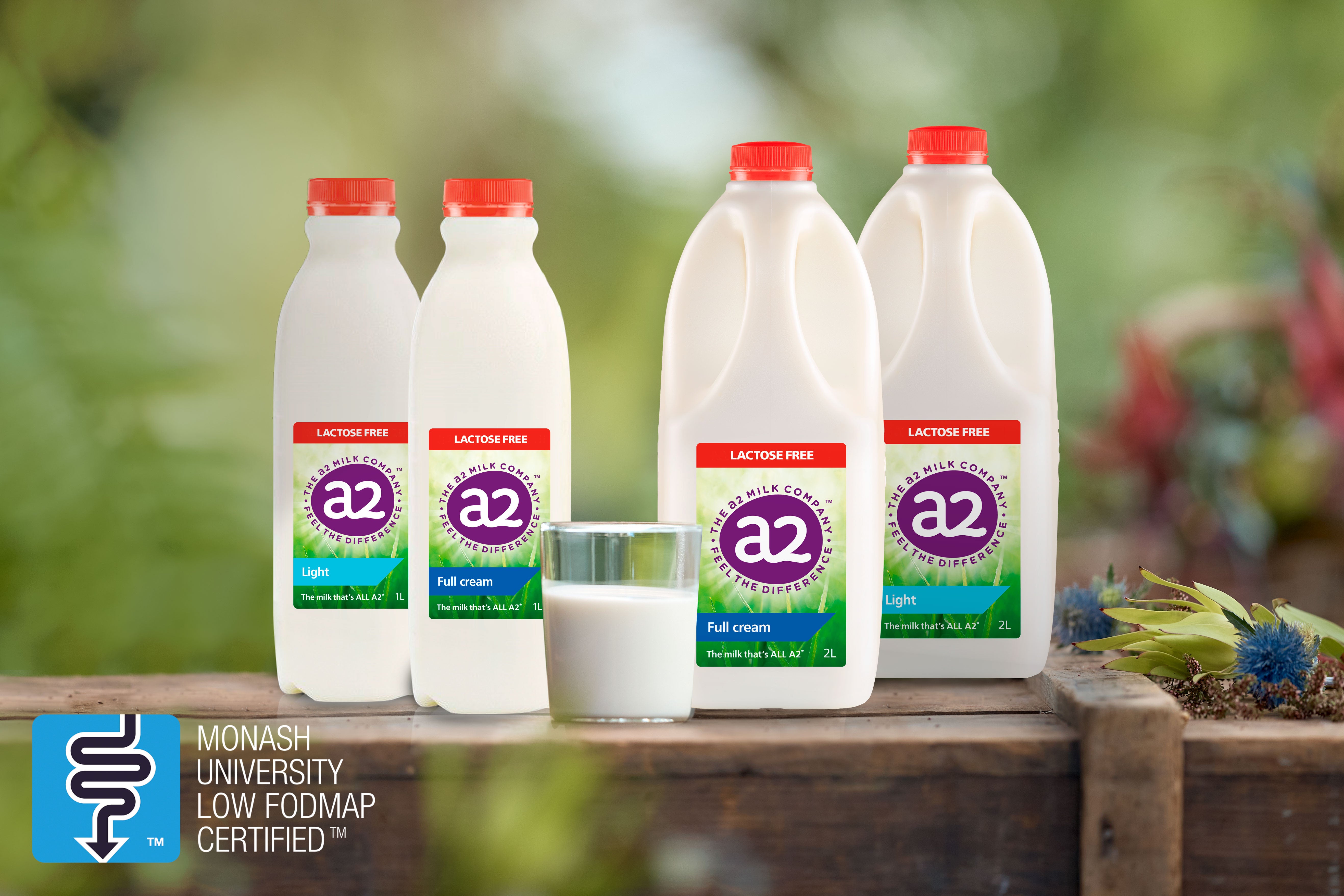 Why Lactose Free?