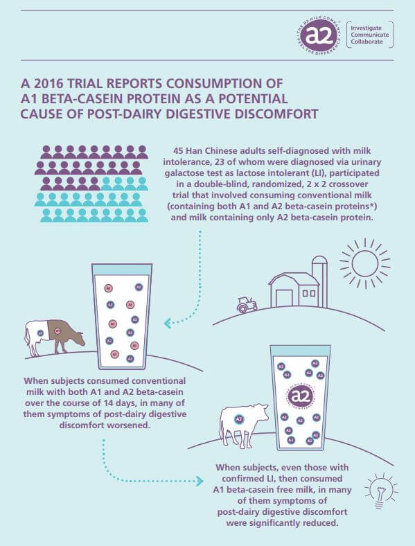 A 2016 trial reports consumption of A1 beta-casein protein as a potential cause of post-dairy digestive discomfort