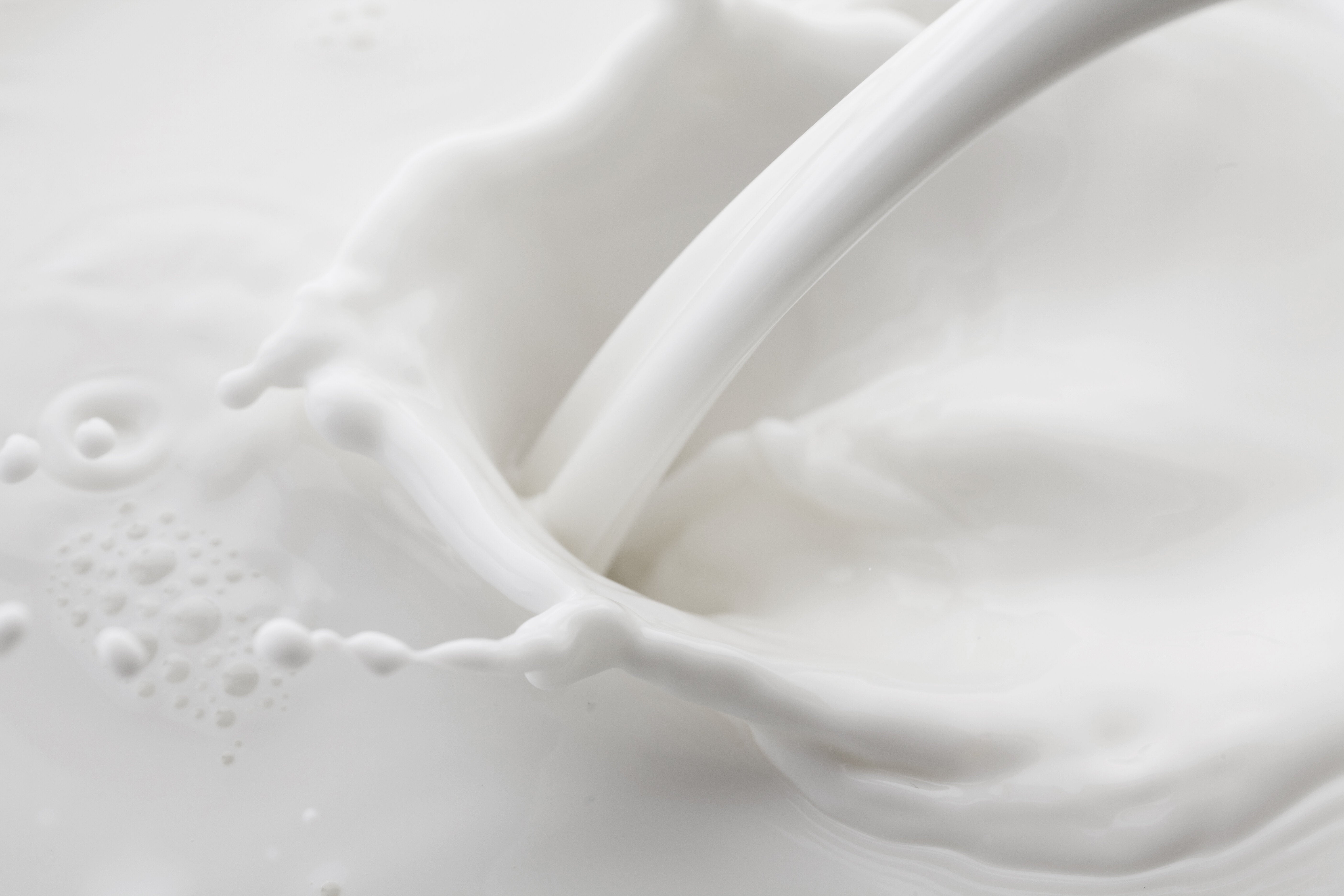 Milk allergy or milk intolerance: what’s the difference?