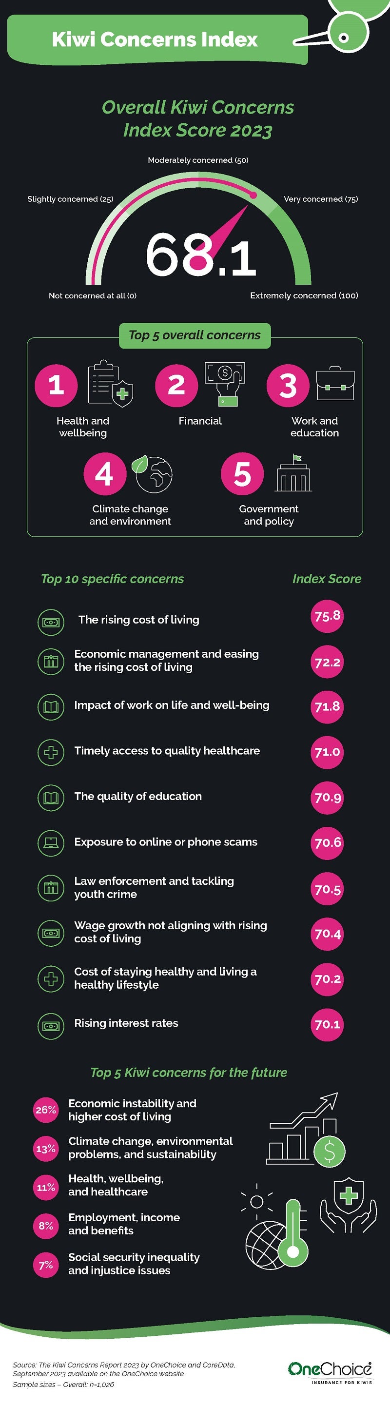 Kiwi Concerns Report 2023 Infographic 1