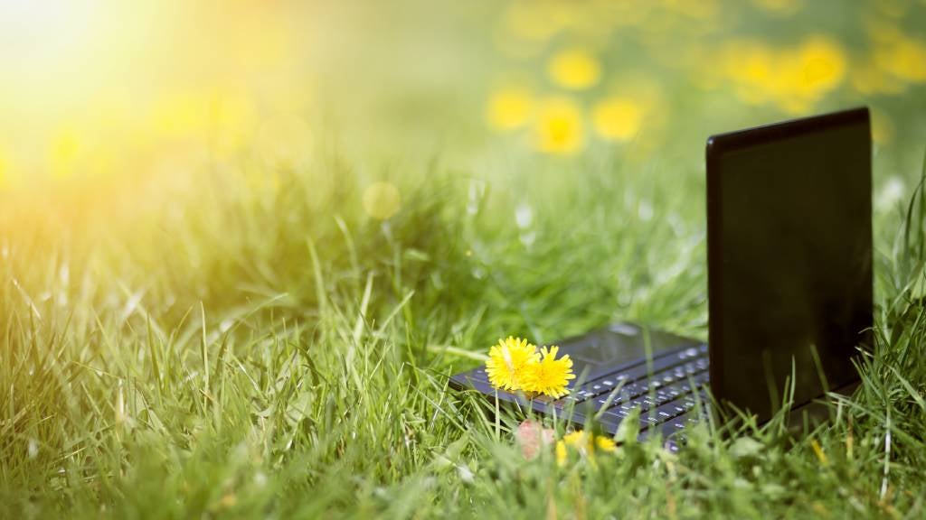 Laptop on ground in grassy field with yellow flower.