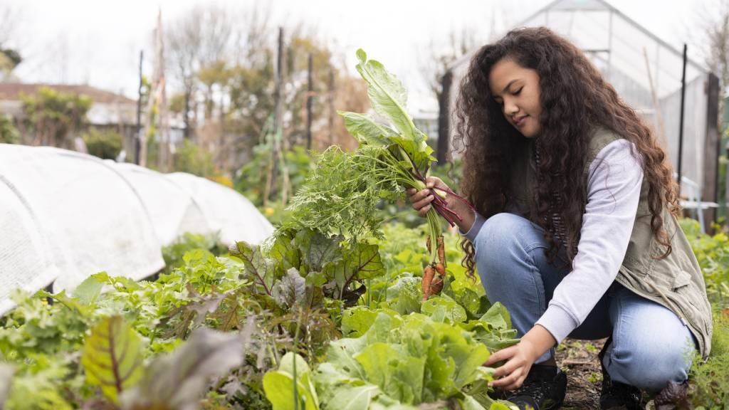 Girl with fresh homegrown vegetables in garden