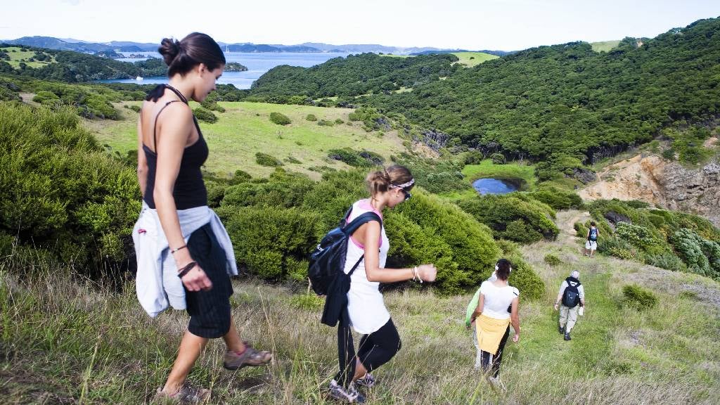People walking on hill at Urupukapuka island New Zealand