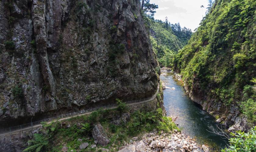 The Karangahake Gorge Historic Walkway 