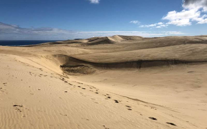 The Giant Te Puki Sand Dunes on the road to Cape Reinga north of Auckland 