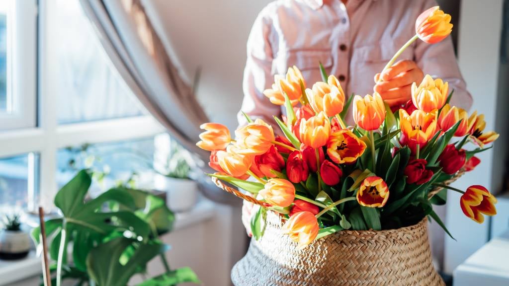 Person arranging basket of tulips