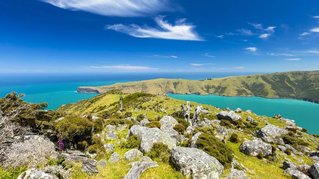 The majestic Akaroa