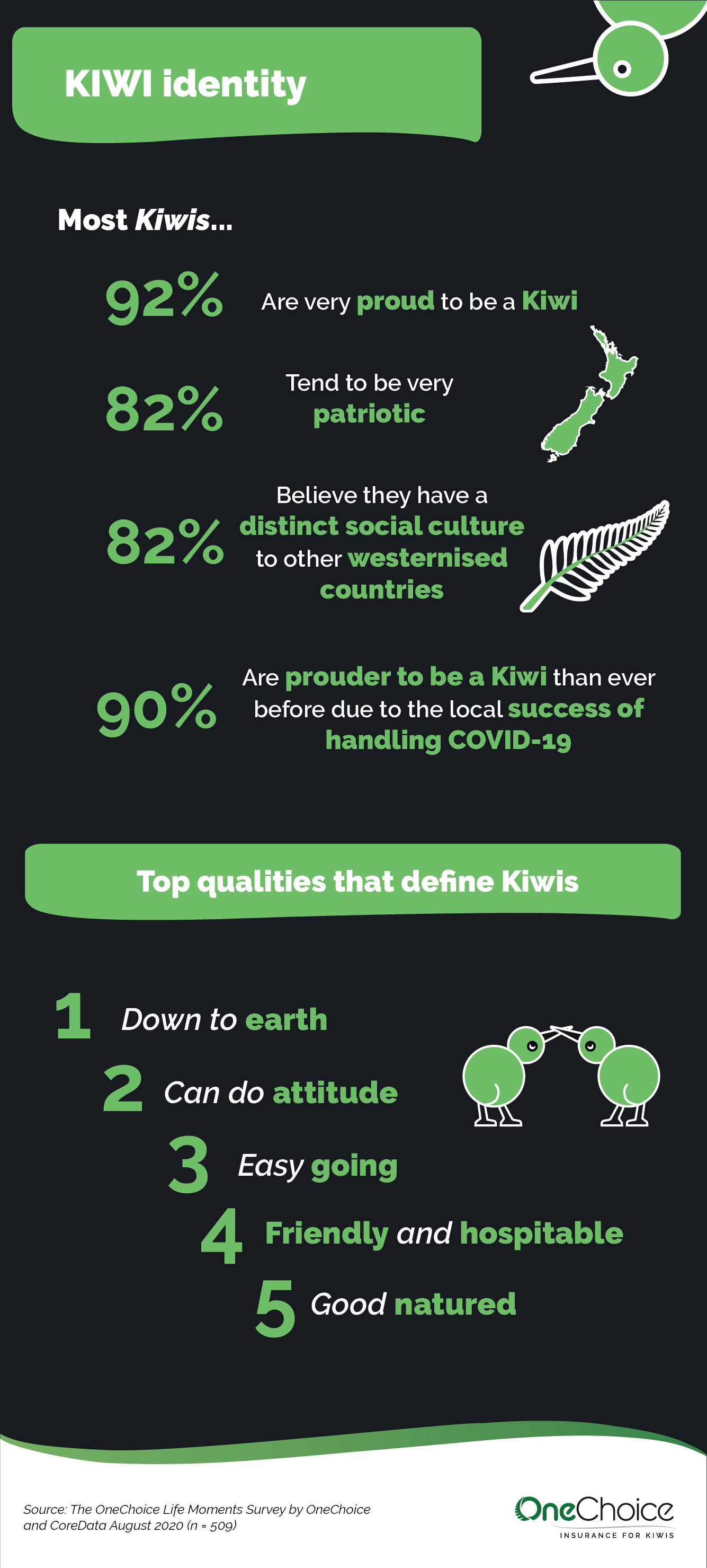 Kiwi identity infographic