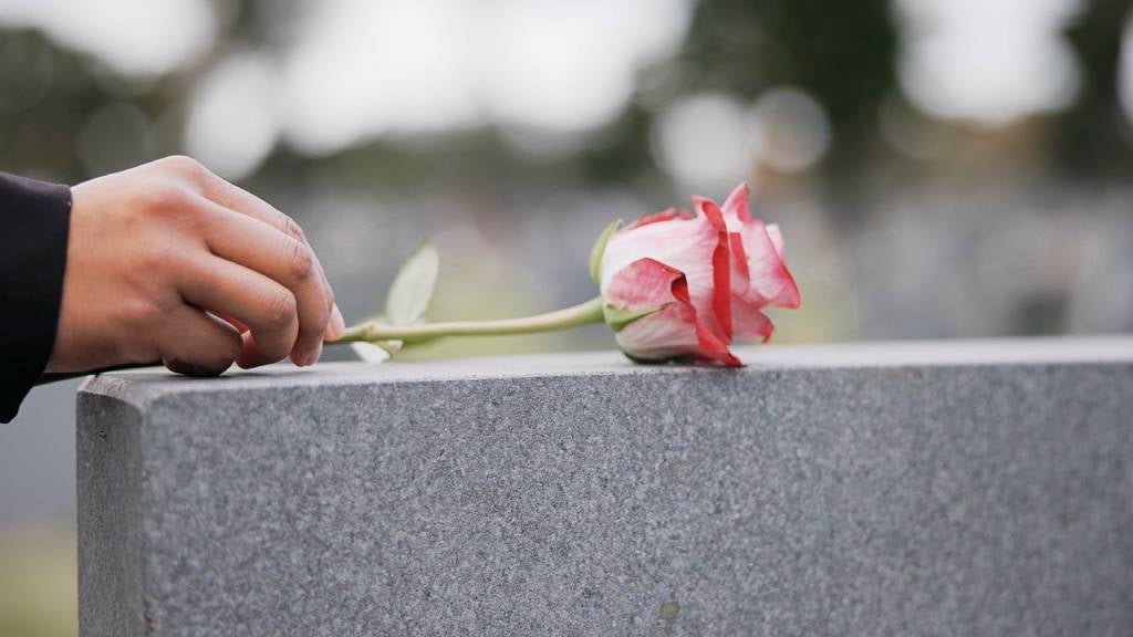 Grieving family member places rose on tombstone