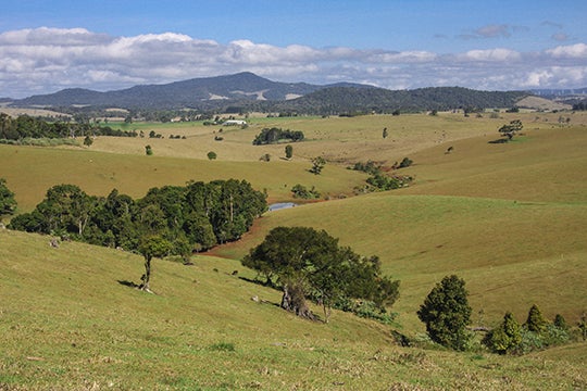 Rural landscape photograph