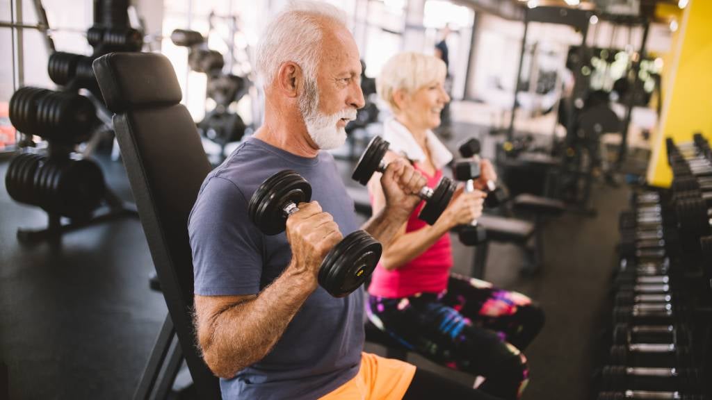 Senior man and woman lift dumbbells at the gym