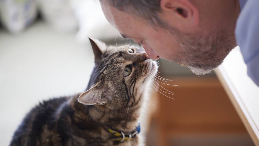 man touching noses with pet cat