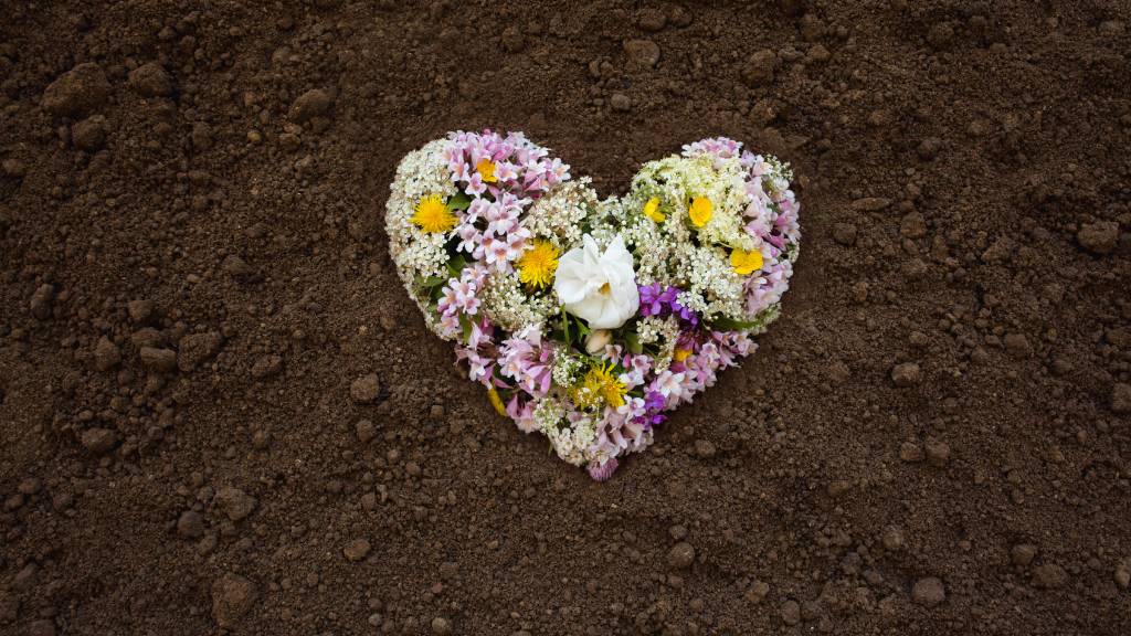 assorted pastel flowers in hard shape placed on soil