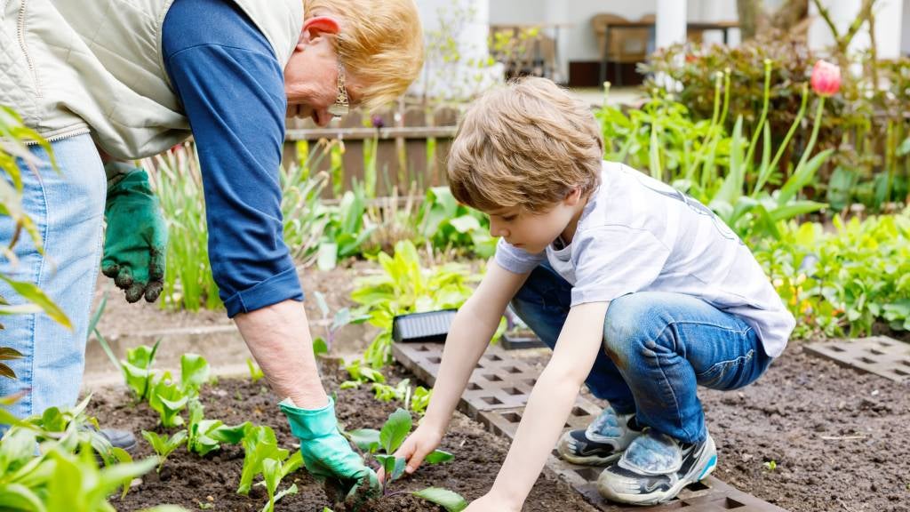 Grandfather and grandson gardening together