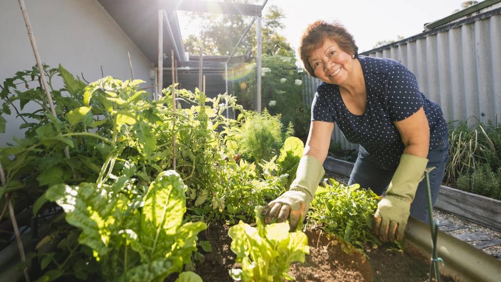 Senior woman smiling and gardening outside in backyard.