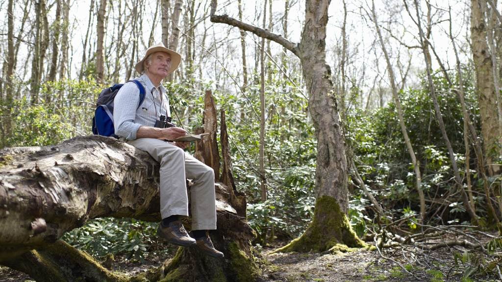 Senior man bird watching in the forest.