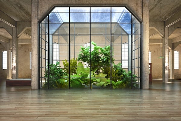 天井內植栽可以如何選擇植栽與裝飾？